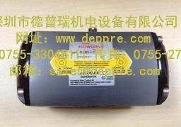 美國(guó)FLOWSERVE