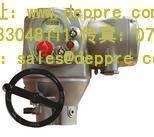 Biffi執(zhí)行器